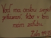 P5050092.JPG